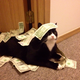 Illustration for article titled How to Make $7500 a Week by Working at Home with Google